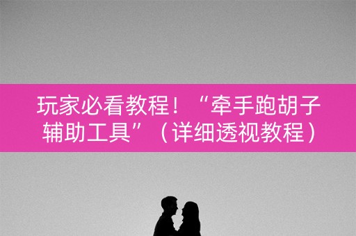玩家必看教程！“牵手跑胡子辅助工具”（详细透视教程）-哔哩哔哩