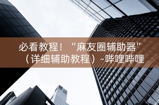 必看教程！“麻友圈辅助器”（详细辅助教程）-哔哩哔哩