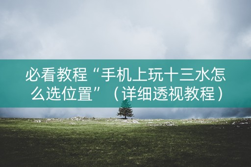 必看教程“手机上玩十三水怎么选位置”（详细透视教程）-哔哩哔哩