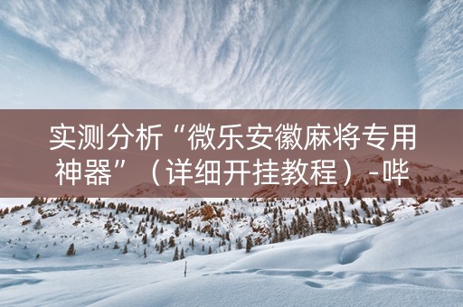 实测分析“微乐安徽麻将专用神器”（详细开挂教程）-哔哩哔哩