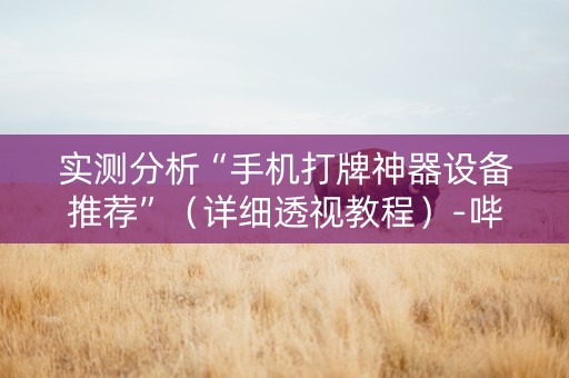 实测分析“手机打牌神器设备推荐”（详细透视教程）-哔哩哔哩