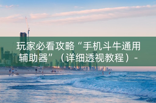 玩家必看攻略“手机斗牛通用辅助器”（详细透视教程）-哔哩哔哩