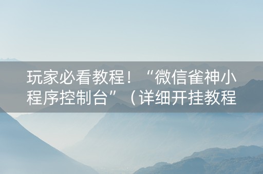 玩家必看教程！“微信雀神小程序控制台”（详细开挂教程）-哔哩哔哩