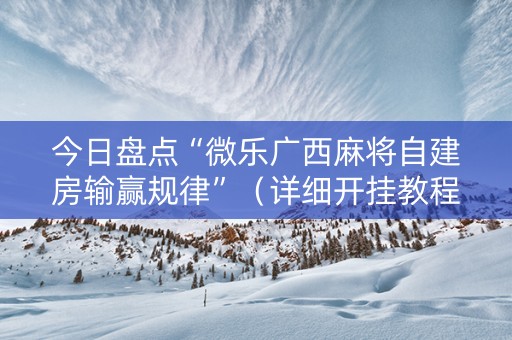 今日盘点“微乐广西麻将自建房输赢规律”（详细开挂教程）-哔哩哔哩