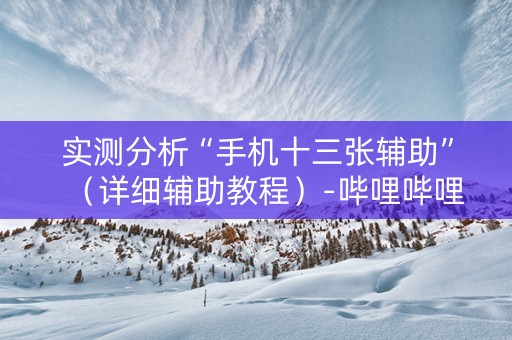 实测分析“手机十三张辅助”（详细辅助教程）-哔哩哔哩