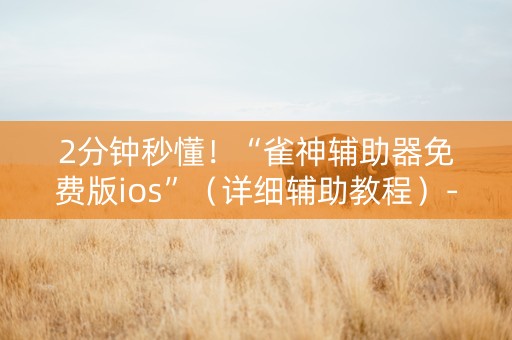 2分钟秒懂！“雀神辅助器免费版ios”（详细辅助教程）-哔哩哔哩