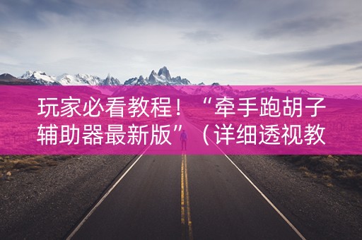 玩家必看教程！“牵手跑胡子辅助器最新版”（详细透视教程）-哔哩哔哩