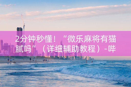 2分钟秒懂！“微乐麻将有猫腻吗”（详细辅助教程）-哔哩哔哩