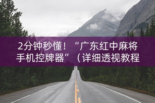 2分钟秒懂！“广东红中麻将手机控牌器”（详细透视教程）-哔哩哔哩