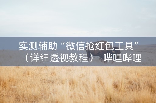 实测辅助“微信抢红包工具”（详细透视教程）-哔哩哔哩