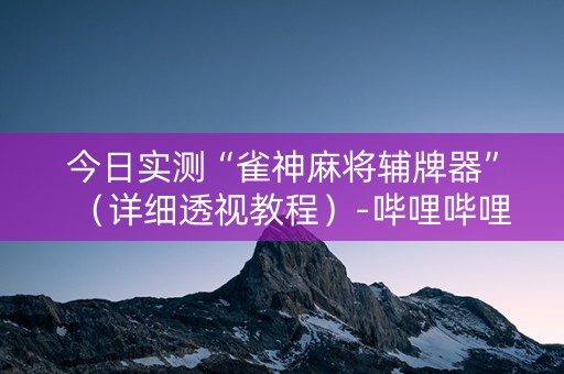 今日实测“雀神麻将辅牌器”（详细透视教程）-哔哩哔哩