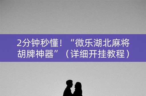 2分钟秒懂！“微乐湖北麻将胡牌神器”（详细开挂教程）-哔哩哔哩