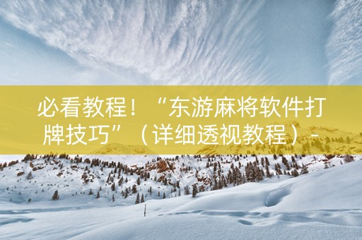 必看教程！“东游麻将软件打牌技巧”（详细透视教程）-哔哩哔哩