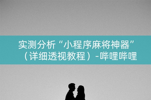 实测分析“小程序麻将神器”（详细透视教程）-哔哩哔哩