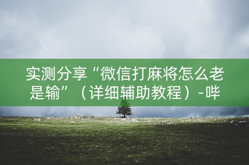 实测分享“微信打麻将怎么老是输”（详细辅助教程）-哔哩哔哩