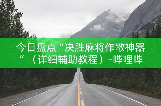 今日盘点“决胜麻将作敝神器”（详细辅助教程）-哔哩哔哩