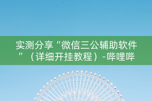 实测分享“微信三公辅助软件”（详细开挂教程）-哔哩哔哩