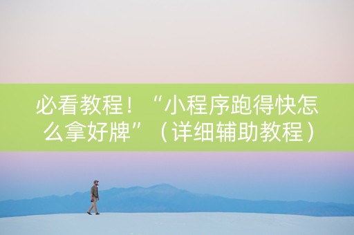 必看教程！“小程序跑得快怎么拿好牌”（详细辅助教程）-哔哩哔哩
