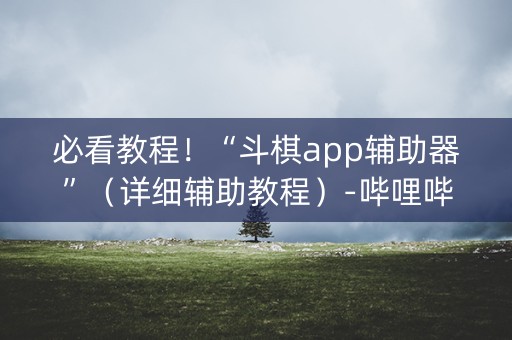 必看教程！“斗棋app辅助器”（详细辅助教程）-哔哩哔哩