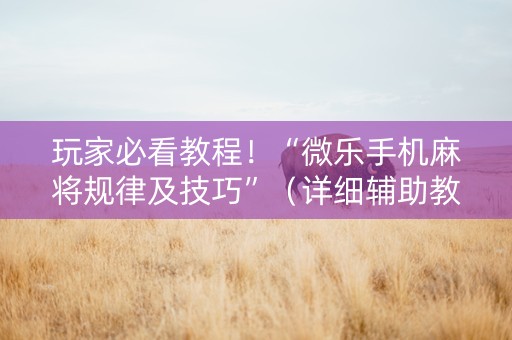 玩家必看教程！“微乐手机麻将规律及技巧”（详细辅助教程）-哔哩哔哩