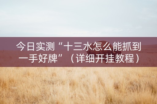 今日实测“十三水怎么能抓到一手好牌”（详细开挂教程）-哔哩哔哩
