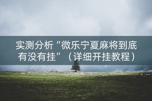实测分析“微乐宁夏麻将到底有没有挂”（详细开挂教程）-哔哩哔哩