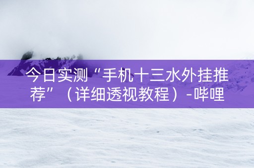 今日实测“手机十三水外挂推荐”（详细透视教程）-哔哩哔哩