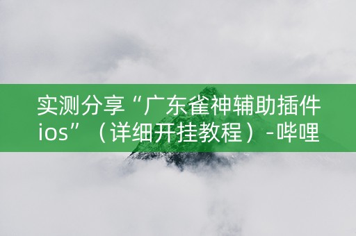 实测分享“广东雀神辅助插件ios”（详细开挂教程）-哔哩哔哩