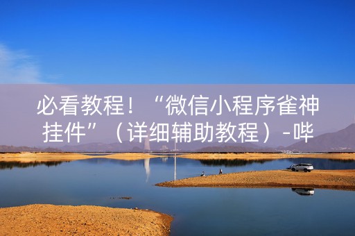 必看教程！“微信小程序雀神挂件”（详细辅助教程）-哔哩哔哩