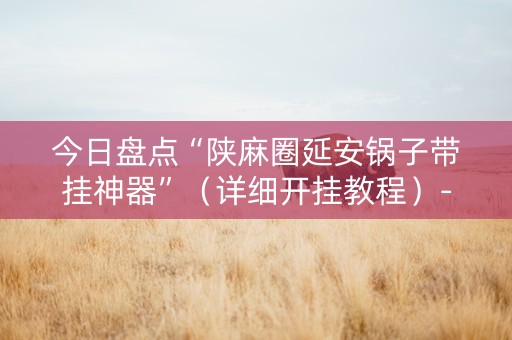 今日盘点“陕麻圈延安锅子带挂神器”（详细开挂教程）-哔哩哔哩