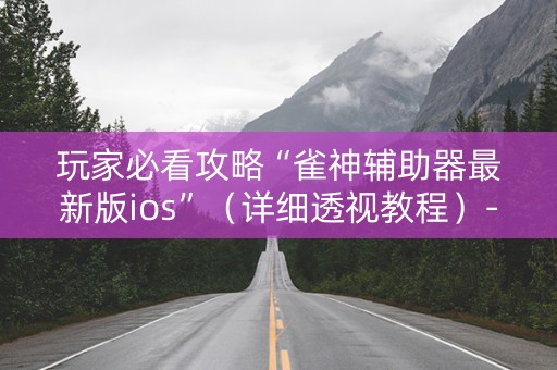 玩家必看攻略“雀神辅助器最新版ios”（详细透视教程）-哔哩哔哩