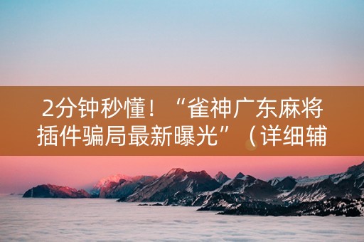 2分钟秒懂！“雀神广东麻将插件骗局最新曝光”（详细辅助教程）-哔哩哔哩