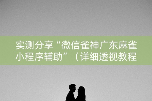实测分享“微信雀神广东麻雀小程序辅助”（详细透视教程）-哔哩哔哩