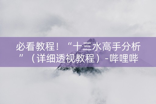 必看教程！“十三水高手分析”（详细透视教程）-哔哩哔哩