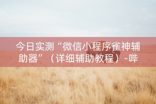 今日实测“微信小程序雀神辅助器”（详细辅助教程）-哔哩哔哩