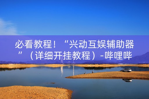 必看教程！“兴动互娱辅助器”（详细开挂教程）-哔哩哔哩