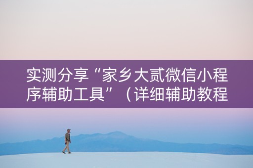 实测分享“家乡大贰微信小程序辅助工具”（详细辅助教程）-哔哩哔哩