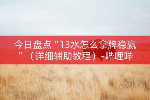 今日盘点“13水怎么拿牌稳赢”（详细辅助教程）-哔哩哔哩
