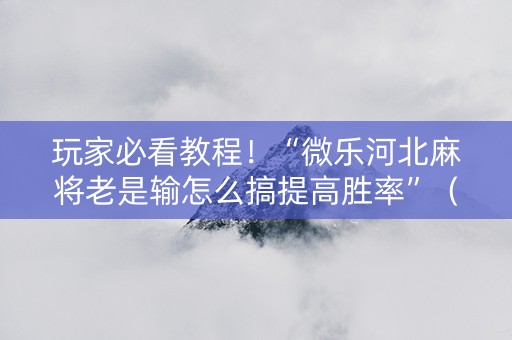 玩家必看教程！“微乐河北麻将老是输怎么搞提高胜率”（详细辅助教程）-哔哩哔哩