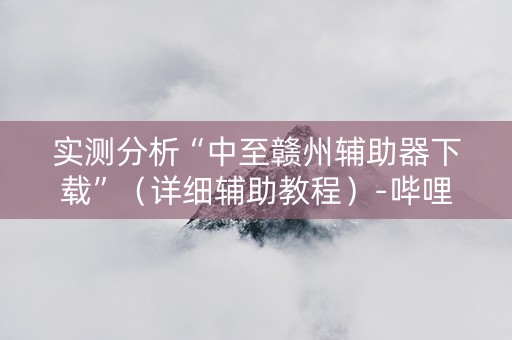 实测分析“中至赣州辅助器下载”（详细辅助教程）-哔哩哔哩
