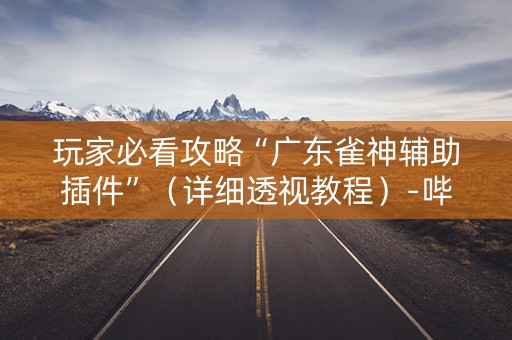 玩家必看攻略“广东雀神辅助插件”（详细透视教程）-哔哩哔哩