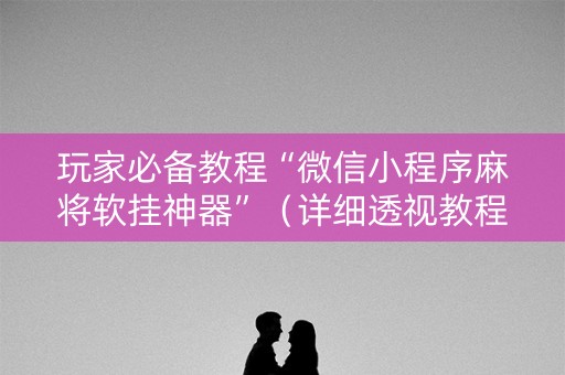 玩家必备教程“微信小程序麻将软挂神器”（详细透视教程）-哔哩哔哩