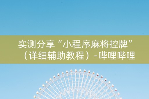 实测分享“小程序麻将控牌”（详细辅助教程）-哔哩哔哩