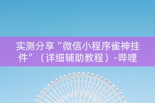 实测分享“微信小程序雀神挂件”（详细辅助教程）-哔哩哔哩