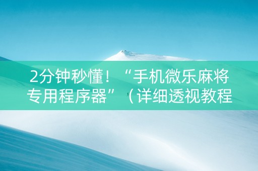 2分钟秒懂！“手机微乐麻将专用程序器”（详细透视教程）-哔哩哔哩