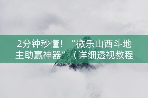 2分钟秒懂！“微乐山西斗地主助赢神器”（详细透视教程）-哔哩哔哩