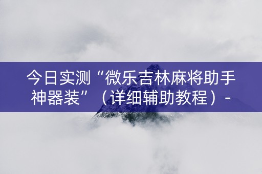 今日实测“微乐吉林麻将助手神器装”（详细辅助教程）-哔哩哔哩