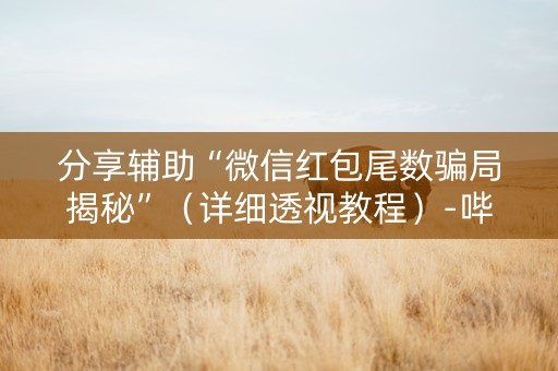 分享辅助“微信红包尾数骗局揭秘”（详细透视教程）-哔哩哔哩