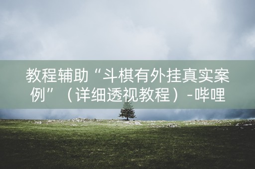 教程辅助“斗棋有外挂真实案例”（详细透视教程）-哔哩哔哩