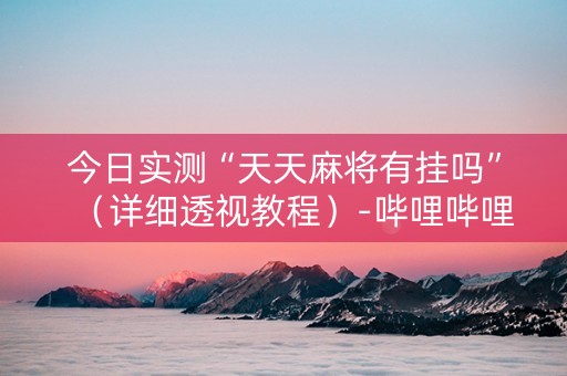 今日实测“天天麻将有挂吗”（详细透视教程）-哔哩哔哩